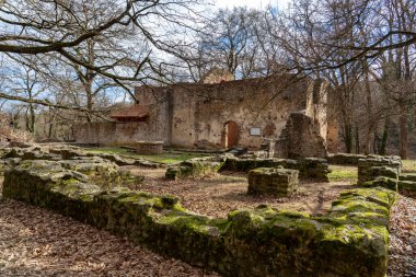 Pauline Manastırı, Salfold 'daki Badacsony yakınlarındaki Macar yürüyüş parkurunda harabe. .