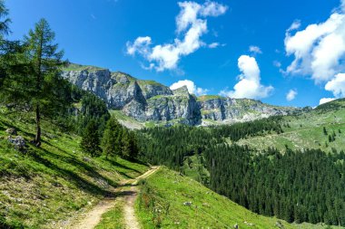 Tyrol sadaka yazın Avusturya 'daki doğa manzarasını alyuvar haline getiriyor.