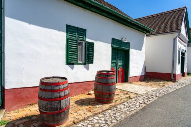 Macaristan 'ın Palkonya şehrinde yaz çiçekleriyle ünlü bir Macar gastro köyü. .