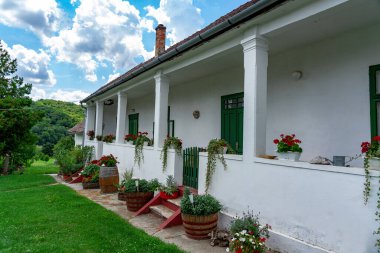 Macaristan 'ın Palkonya şehrinde yaz çiçekleriyle ünlü bir Macar gastro köyü. .