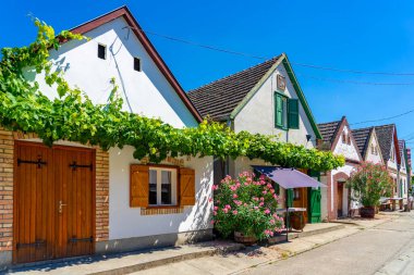 Hajos Baja şarap bölgesinin mimarisi 1200 küçük mahzenli müze renkli mahzen köyü Hajos ile ünlüdür. .