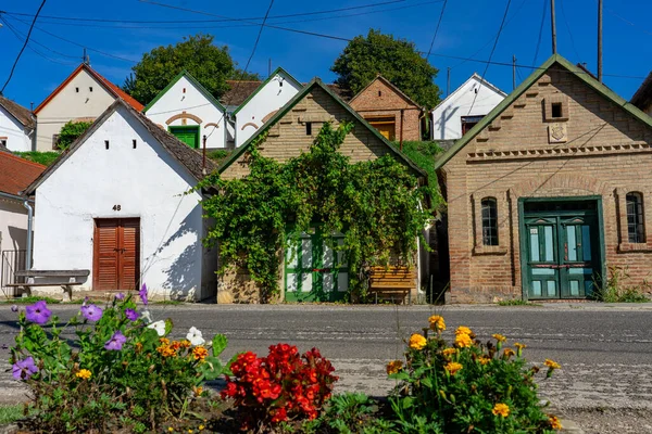 Villany adında bir Macar şarap bölgesinde bir sürü renkli eski geleneksel şarap çellocu ve çiçek var. .