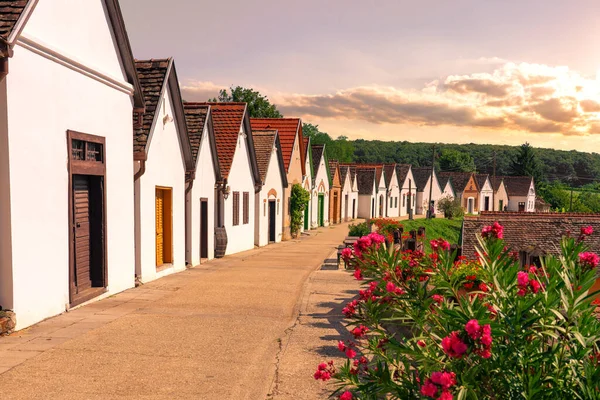 Villanykovesd 'de günbatımında Villany adında bir Macar şarap bölgesinde eski ve renkli şarap mahzenleri var.