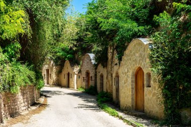 Nyul Macaristan 'daki güzel doğal mahzen sırası doğadaki ağaçlar arasında. .