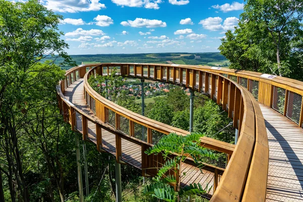 Ormanda macera ve şehir üzerinde ağaçtan taç yolu ormanın üzerinde patika. .