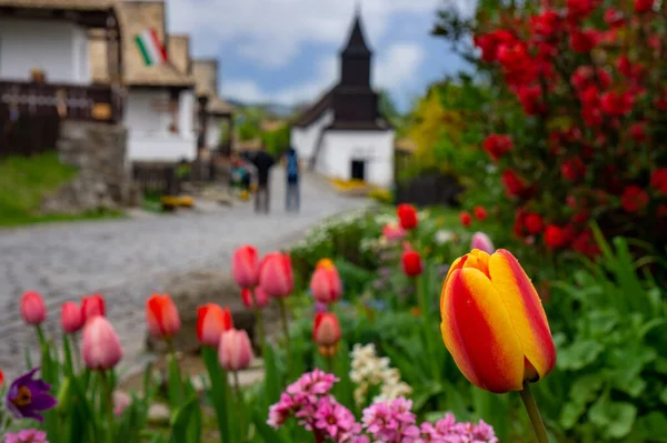 Tulipán Holloko Hungría Famoso Por Celebración Pascua Sus Antiguas Casas —  Fotos de Stock