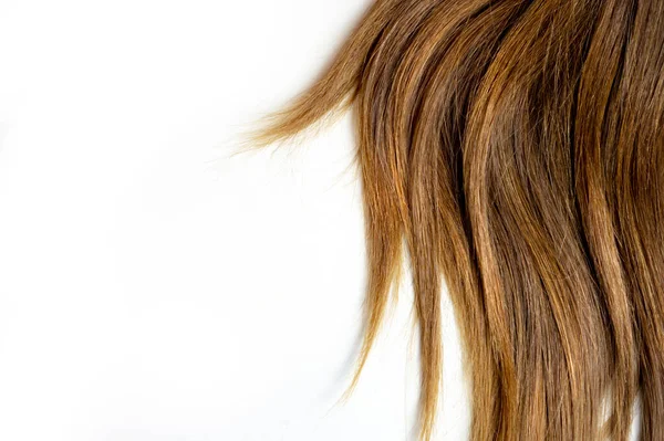 バレイジのハイライトと白の隔離された背景に長い茶色のストレートヘア — ストック写真