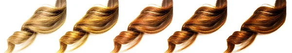 Stück Braunes Lockiges Glänzendes Haar Auf Weißem Isoliertem Hintergrund — Stockfoto