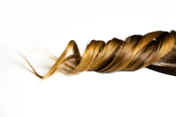 Beyaz yalıtılmış arka planda kahverengi kıvırcık, parlak balayaj saçı.