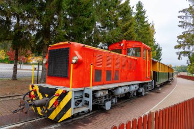 Szalajka Vadisi Szilvasvarad Macaristan 'daki küçük dar ölçü treni. .