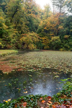 Szalajka Vadisi Szilvasvarad Macaristan Yağmurlu bir sonbahar gününde .