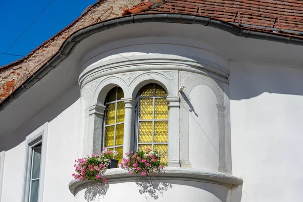 Hermoso Detalle Ventana Arquitectura Maribor Eslovenia Con Geranio —  Fotos de Stock