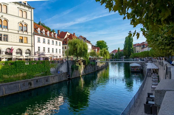 Ljubljanica Nehri Üzerinde Nehir Kıyısında Footbridge Ribja Brv — Stok fotoğraf