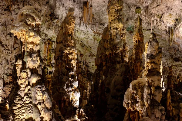 Het Verkennen Van Prachtige Postojna Grot Slovenia Meest Bezochte Europese — Stockfoto