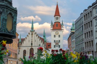 Eski belediye binası Rathausin Marienplatz Münih İlkbahar Renkli bahar çiçekleriyle .