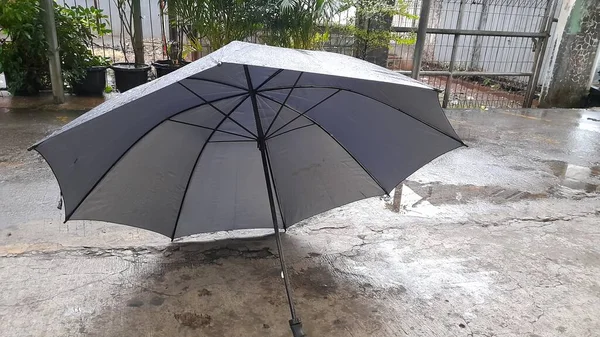 Umbrella Side View Distance Road Rainy Season Protective Equipment Background — стоковое фото