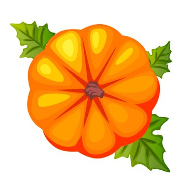 Cartoon orange pumpkin, top view. Symbol Happy Thanksgiving. Pumpkin icon