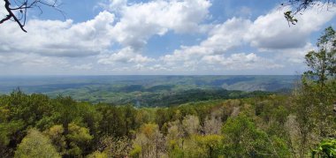 Bulutlu mavi gökyüzü ile güzel yeşil orman