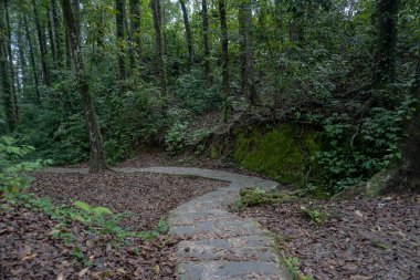 Aik nyet Susaot Doğa Turizmi Endonezya 'nın Lombok adasında yer almaktadır.