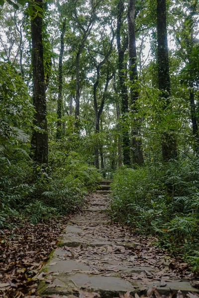 Aik nyet Susaot Doğa Turizmi Endonezya 'nın Lombok adasında yer almaktadır.
