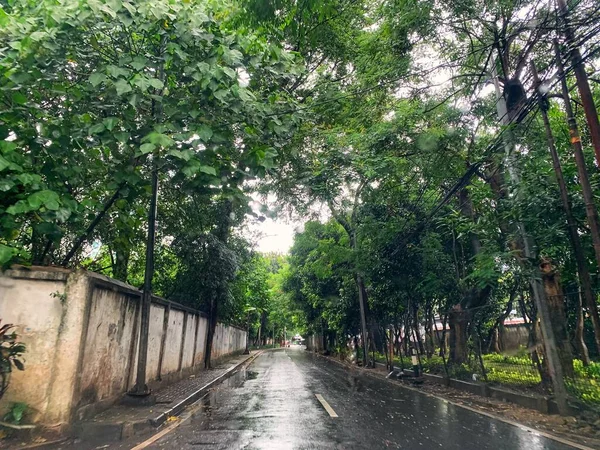 Jakarta, Endonezya, 26 Şubat 2022, yağmurdan sonra birçok yaprak ıslak yola düşer.