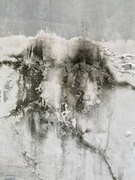 Grunge beyaz duvarı ve doku arkaplanı için koyu gri renk