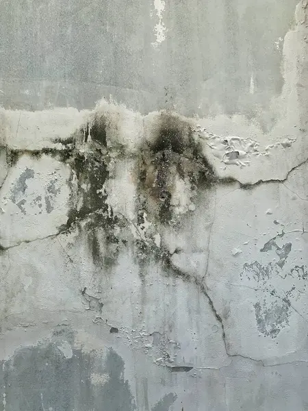 Grunge beyaz duvarı ve doku arkaplanı için koyu gri renk