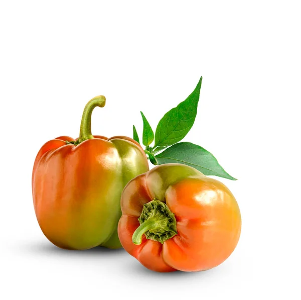 Verse Paprika Geïsoleerd Witte Achtergrond — Stockfoto