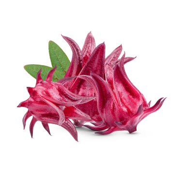 Beyaz arkaplanda taze roselle meyveleri izole edilmiş