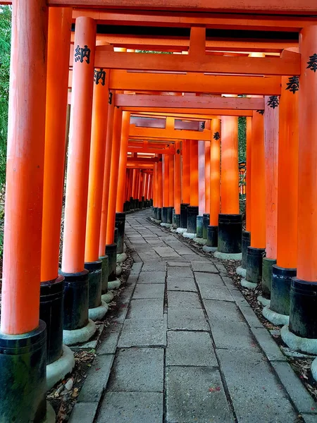 Torii Bramy Fushimi Inari Przybytek Sinto Znajduje Się Południowym Kioto — Zdjęcie stockowe