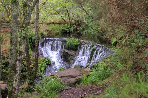 Mitten Bergwald Befindet Sich Ein Wasserfall Der Pozo Ferida Genannt — Stockfoto