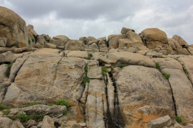 Eski, aşınmış kayalar deniz kıyısında yüksek bir uçurum şeklinde.