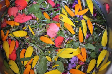 Oğlumun oynadığı yapraklar. Hepsini suyla karıştırdı ve renkleri de çok güzel.