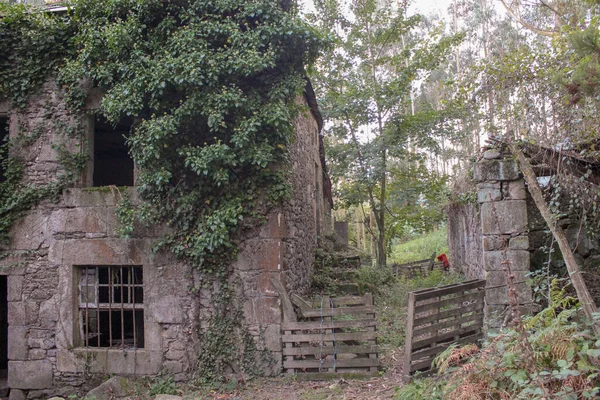 Régi Elhagyatott Ház Galíciában Spanyolországban Erdőben Van Egy Olyan Területen — Stock Fotó