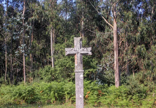 Een Stenen Kruis Gevonden Dicht Bij Bomen Het Bos — Stockfoto