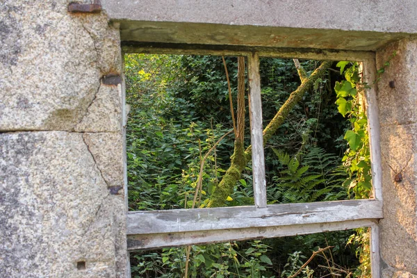 Nature Seen Window Old Abandoned House Found Countryside — Stock Fotó