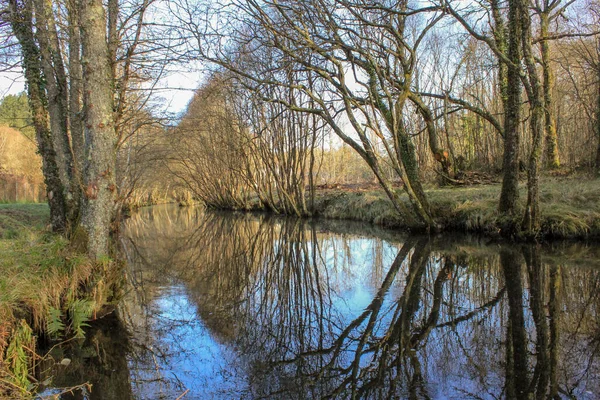 River Madalena Trees Reflected Water — Photo