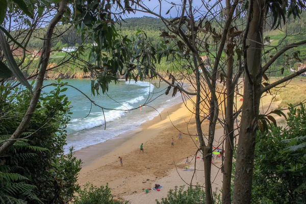 View Beach Forest Close Galicia Spain — Fotografia de Stock