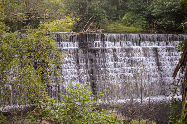 waterfall in the middle of green leaves from trees