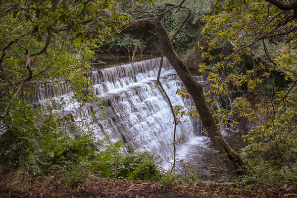 we find a waterfall in our walk across the woods