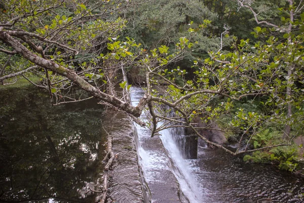 Waterfall River Parallel Walk Sargadelos Galicia Spain — 스톡 사진