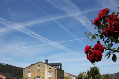 summer blue sky in Spain with lines from aircrafts in it