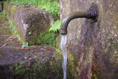 water coming out of a faucet in the woods