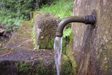 Çeşmeden çıkan su, doğanın ortasındaki bir çeşmeye akıyor.