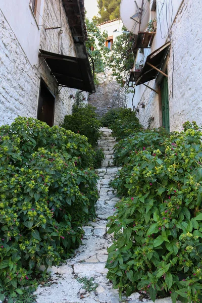 Typowe Ulice Tradycyjne Domy Ładnymi Drzwiami Kwiatami Mieście Berat Albania — Zdjęcie stockowe