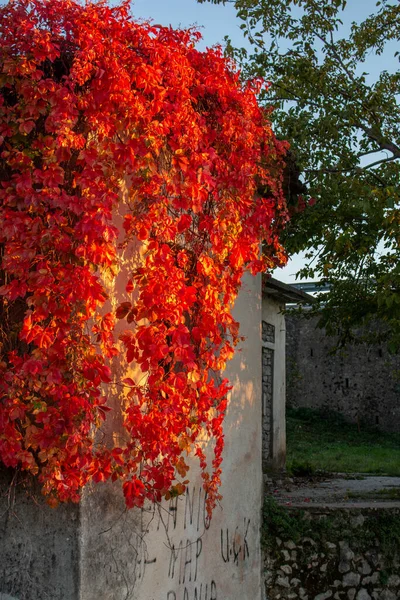 Arnavutluk 'un tepesinde güzel, parlak kırmızı bir fabrika büyüyen terk edilmiş bir bina