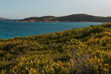 Vahşi Batı Avustralya 'daki güzel mavi su plajı - Batı sahili, Esperance WA, Avustralya - En İyi Avustralya plajları