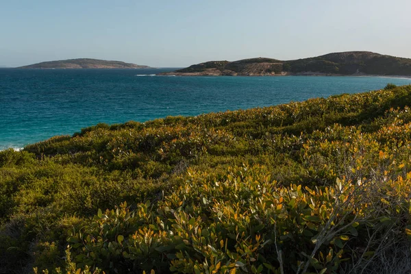 Vacker Blå Vattenstrand Vilda Västra Australien Väststrand Esperance Australien Bästa — Stockfoto