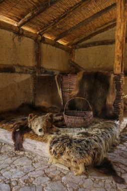 Kuzey Makedonya 'daki Kemik Körfezi Müzesi' nin içinde, sakinlerinin yerleşim yerlerini yeniden inşa ediyor.
