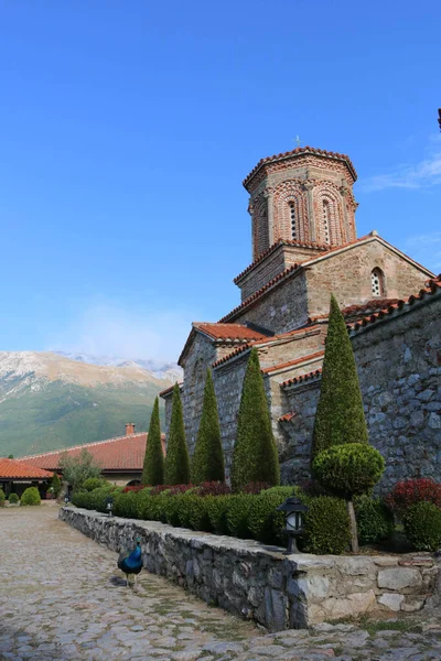 Kuzey Makedonya 'daki Saint Naum Manastırı Mavi gökyüzü ve tavus kuşuyla